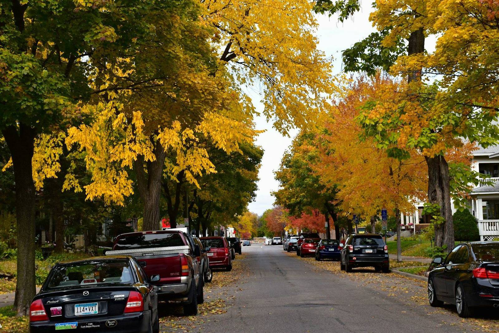 A tree-lined residential street in fall color